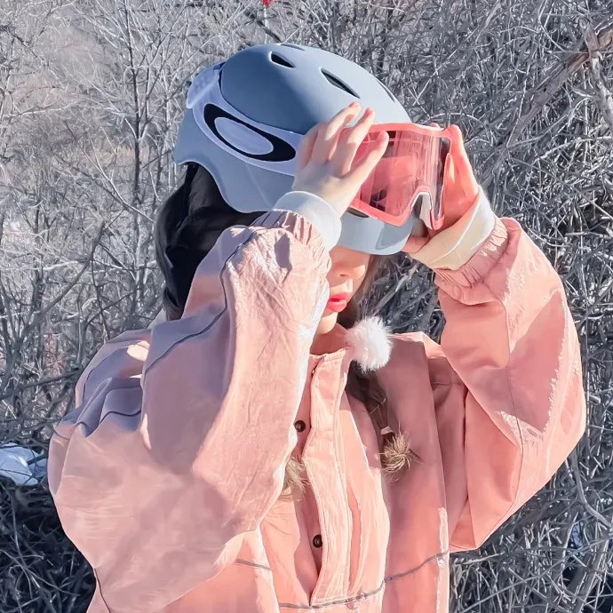 马达加斯加2：逃往非洲